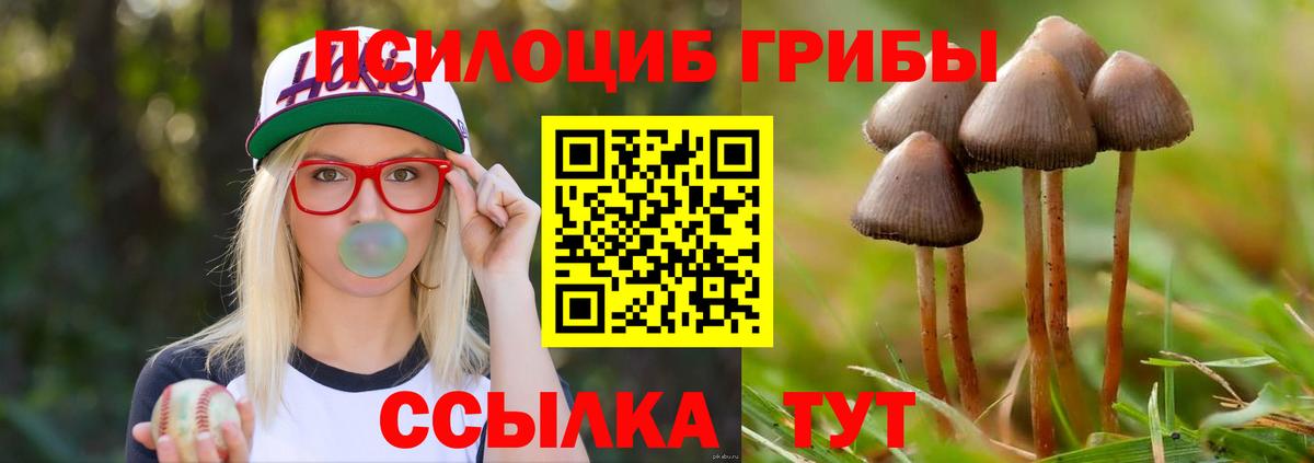 Нефтекамск  Галлюциногенные грибы мицелий  Галлюциногенные грибы MAGIC MUSHROOMS  Вход с VPN 